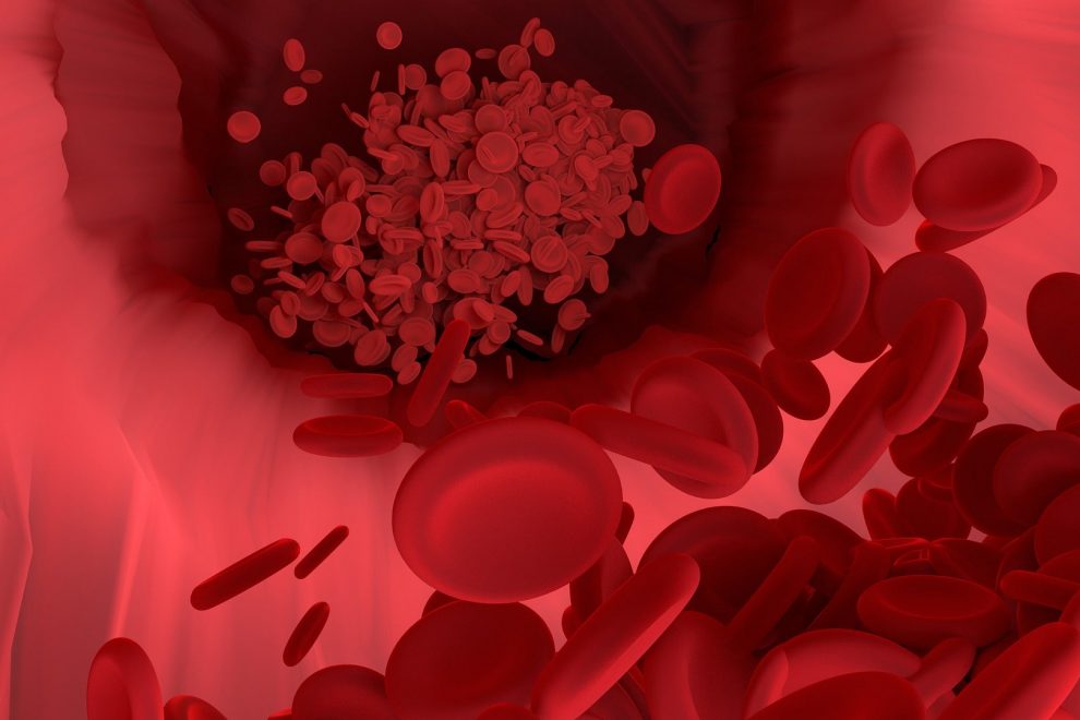 red-blood-cell-4302093_1920-min