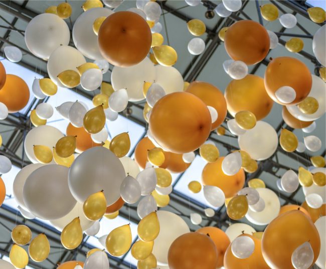 pexels-photomix-company-226737